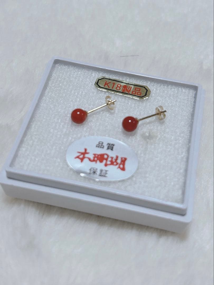 赤珊瑚　ピアス　K18 本珊瑚　18金