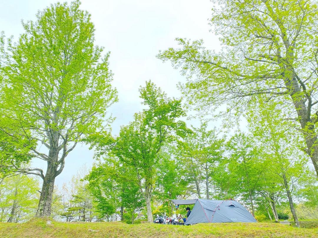 DOD ライダーズタンデムテント　生産終了品