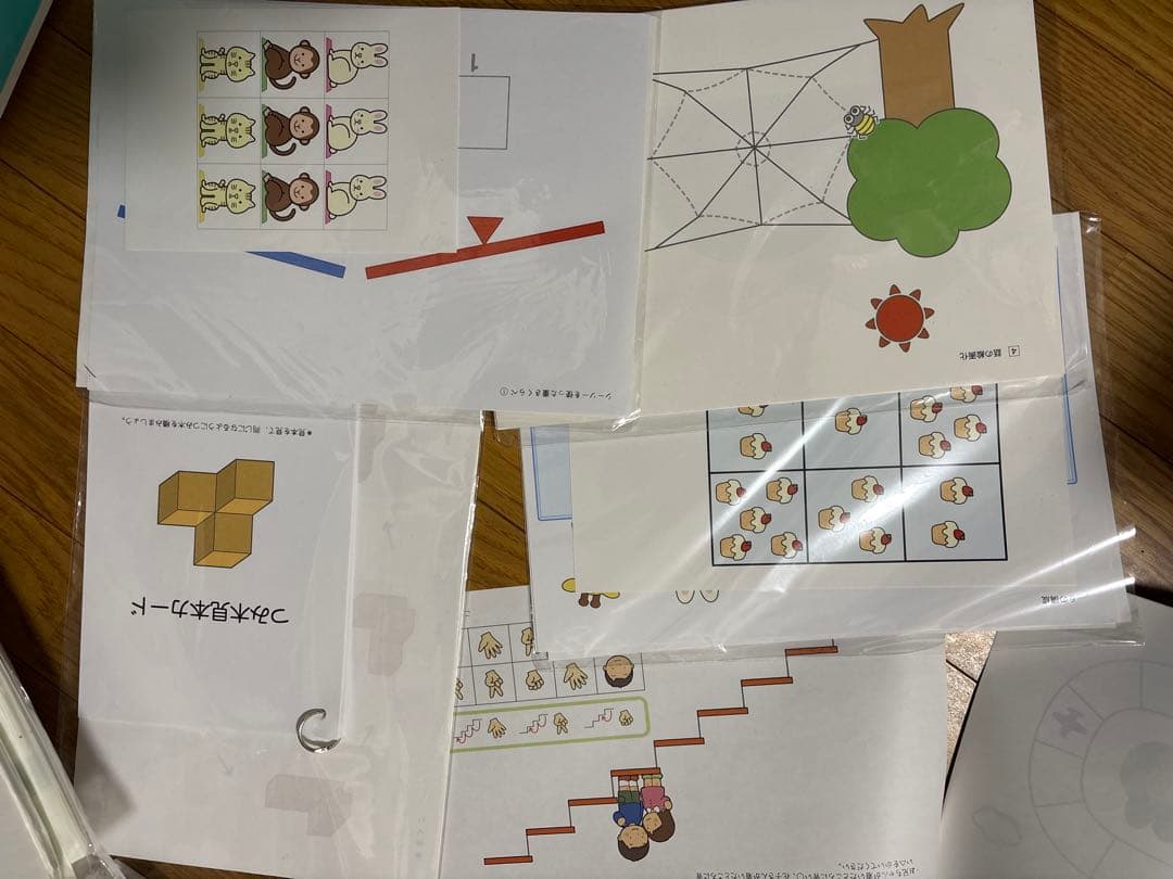 こぐま会なでしこ教室　お受験　こぐま会　小学校受験　理英会　伸芽会　年中　年少
