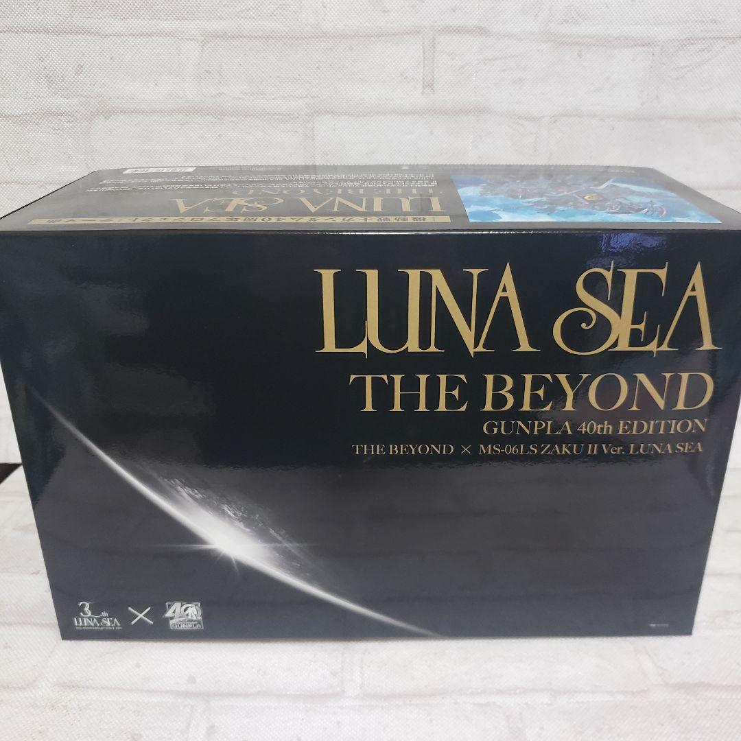 LUNASEA 専用ザク　限定ルナシー
