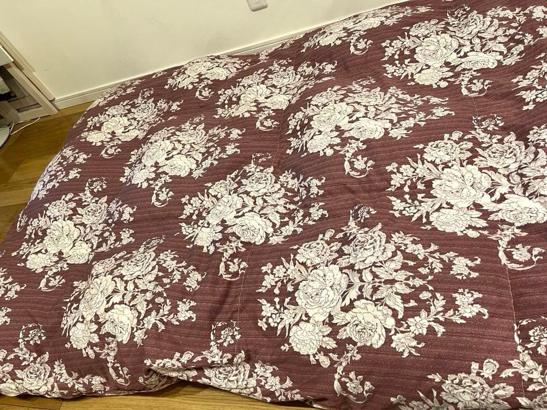 織元 カナダ産 コロニアルグースダウン 95% 超長綿100 ニ層 1.1k