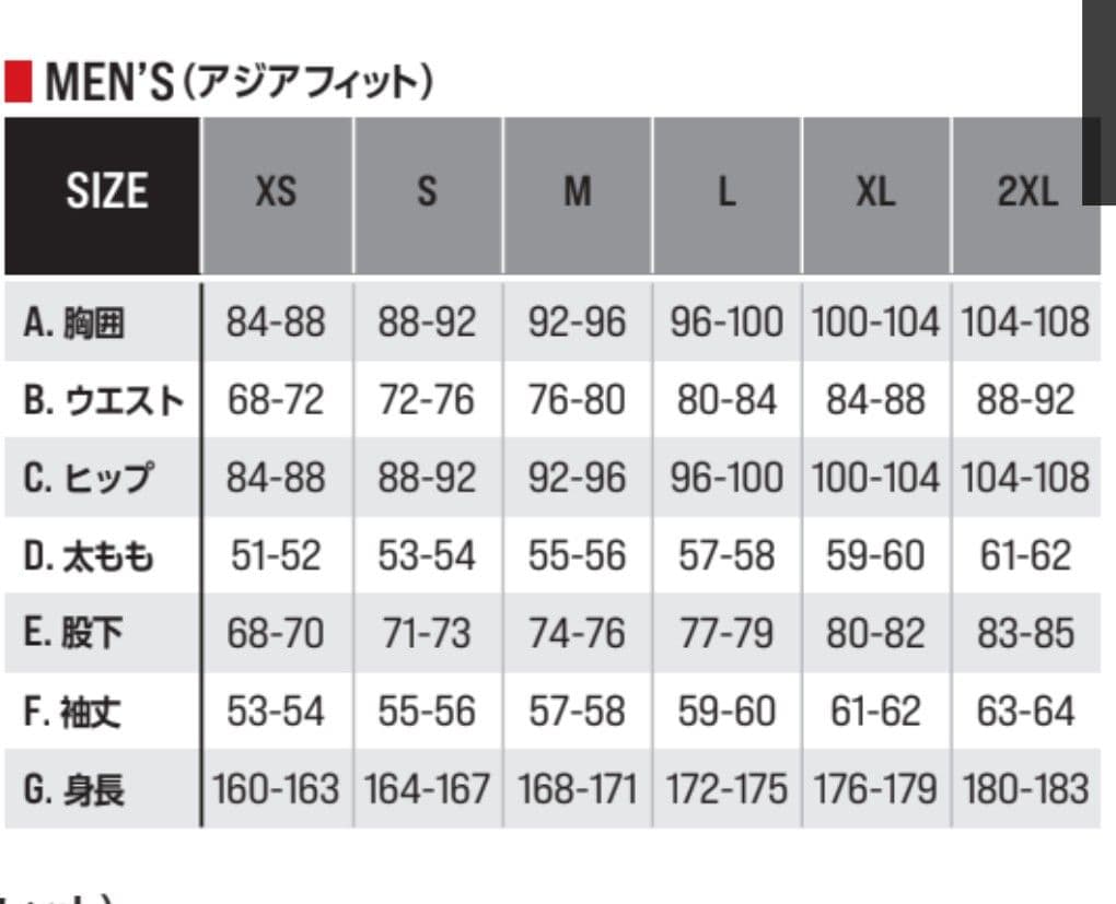 ✿お値下げ2✦試着のみ Alpinestars SEKTOR フーディ アジアL