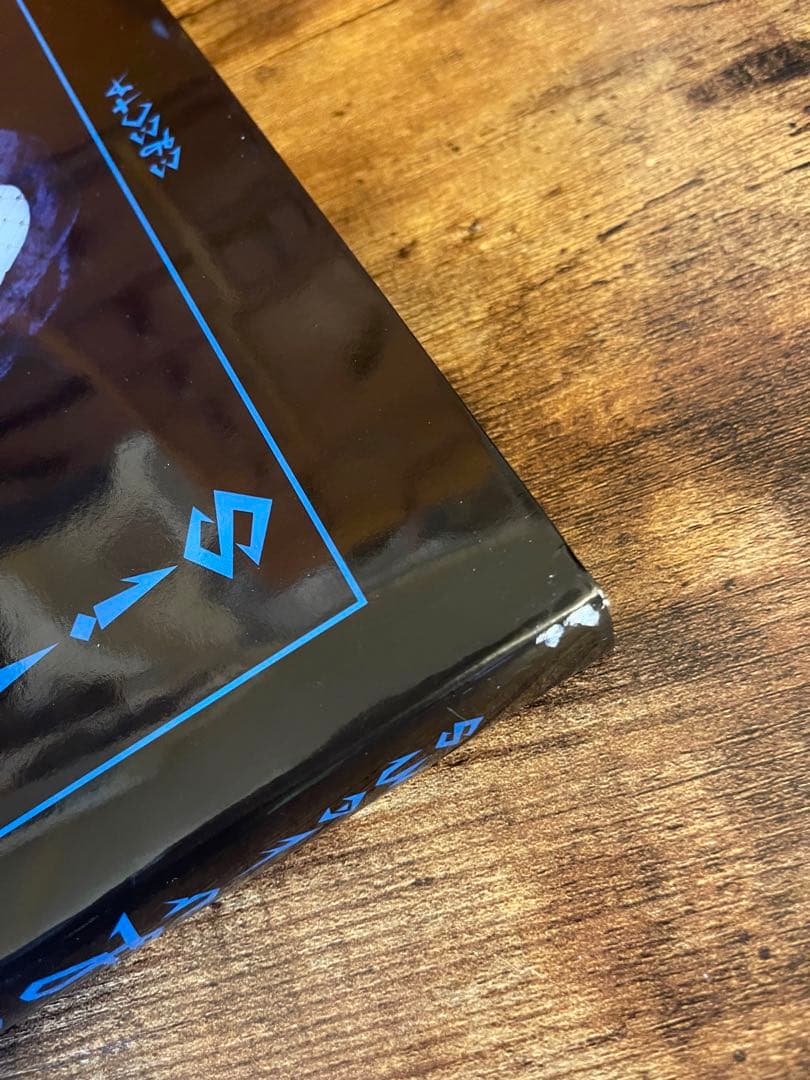 セルジュルタンス写真集