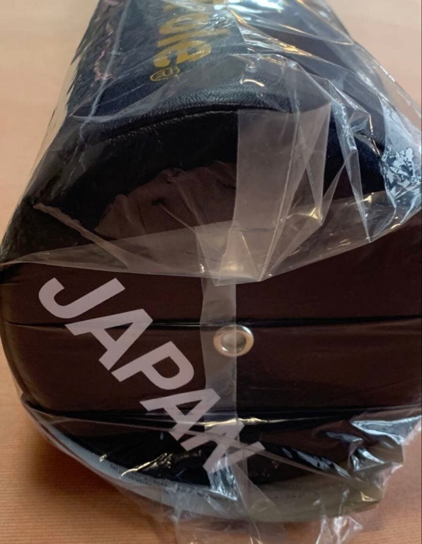 StretchPole エクササイズ DVD付２０２４JAPAN