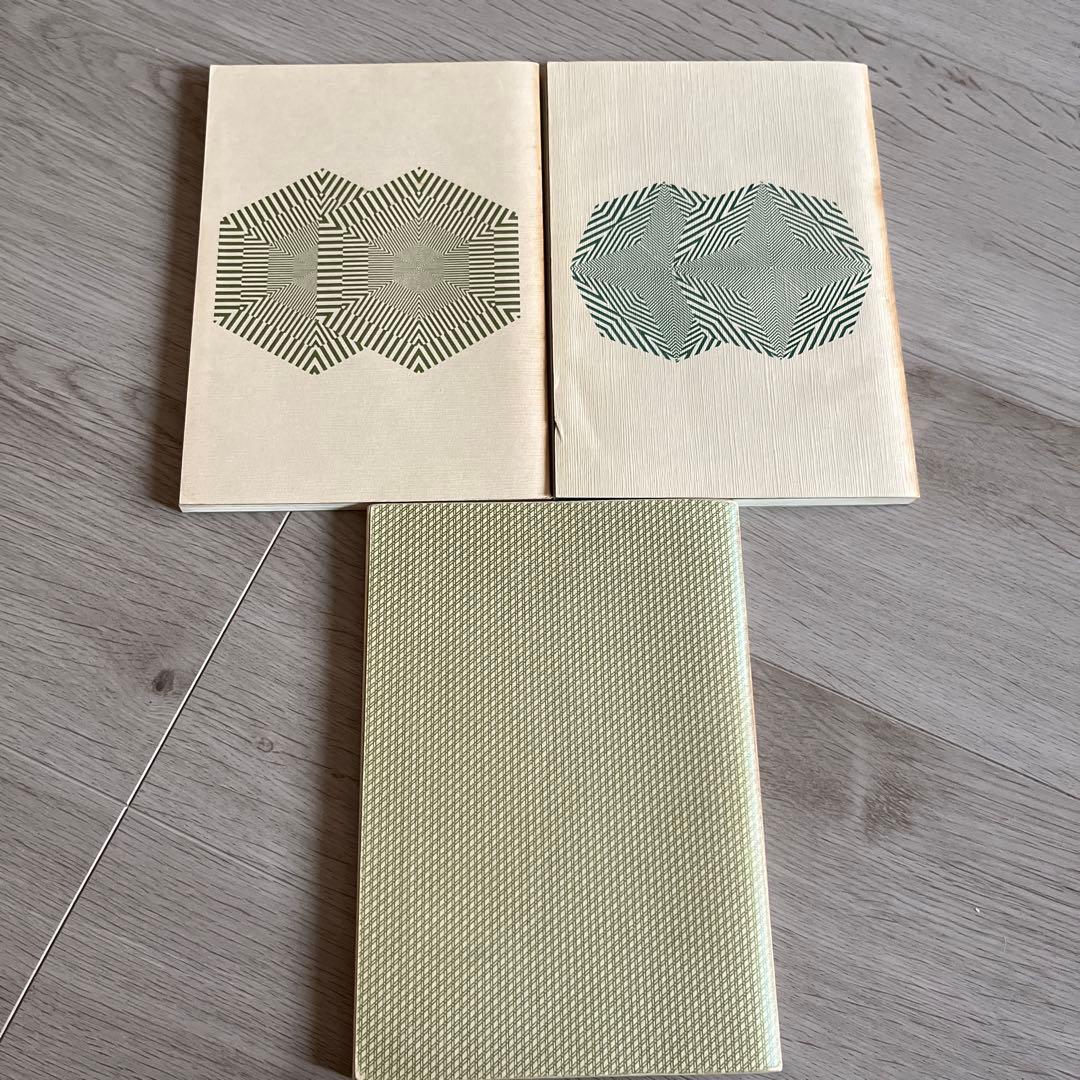 代ゼミ 山本の代数幾何 基礎解析上級 安田の微分積分中級 前田の中級物理 問題集