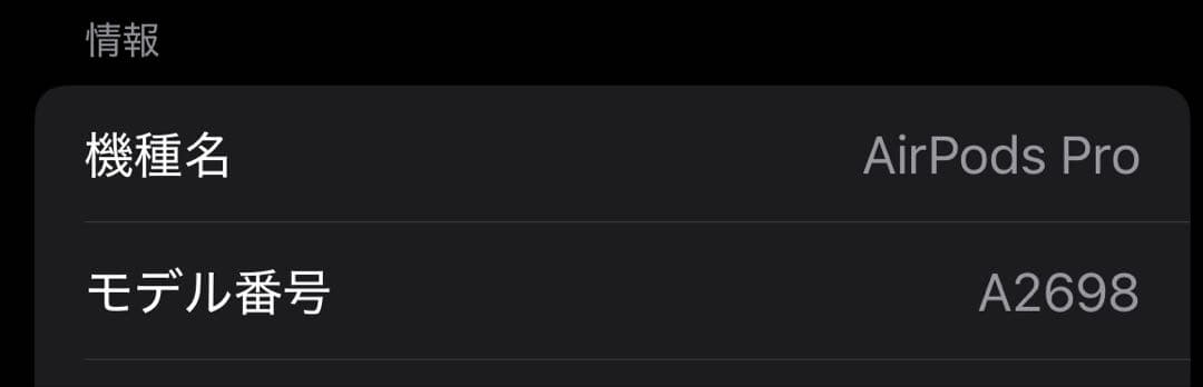 Apple AirPods Pro２本体 充電ケース付き
