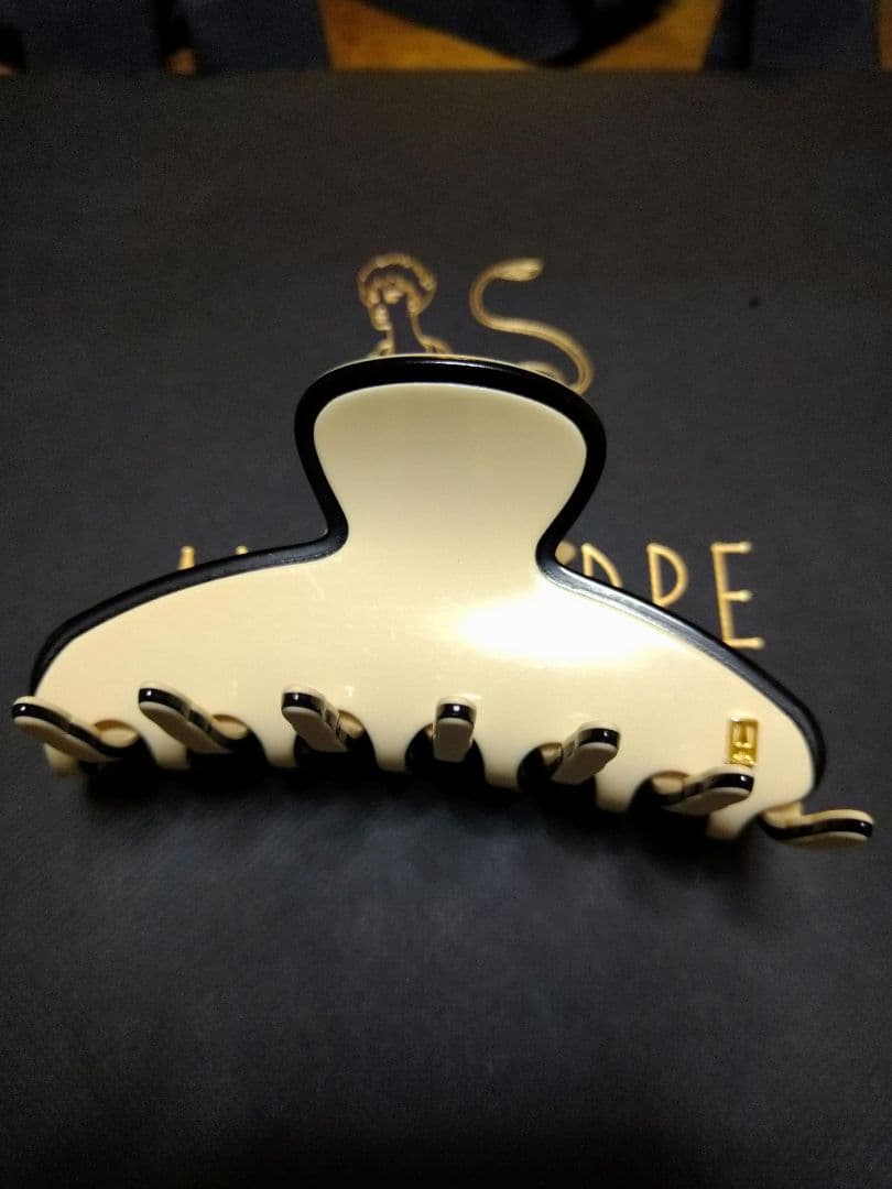 本日のみ値下げ【LISERAI】M クリップ　アレクサンドル ドゥ パリ