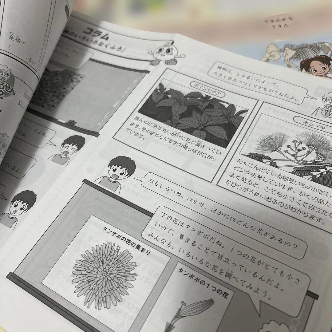 ㉔A 最新版　サピックス　SAPIX 3年　理科　ディリーサピックス　季節講習