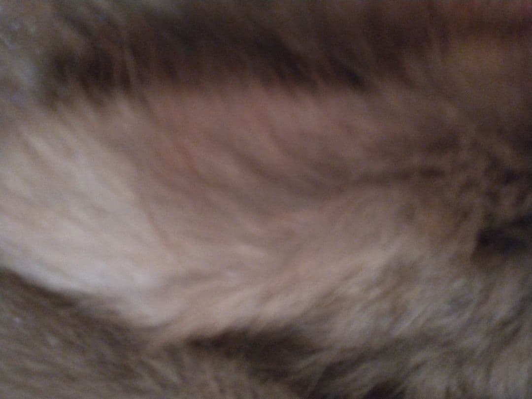 セーブルマフラー、更に値下げしました、