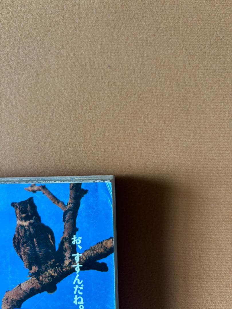 週刊少年ジャンプ 1988年 11月14日号　まじかる☆タルるートくん　初連載