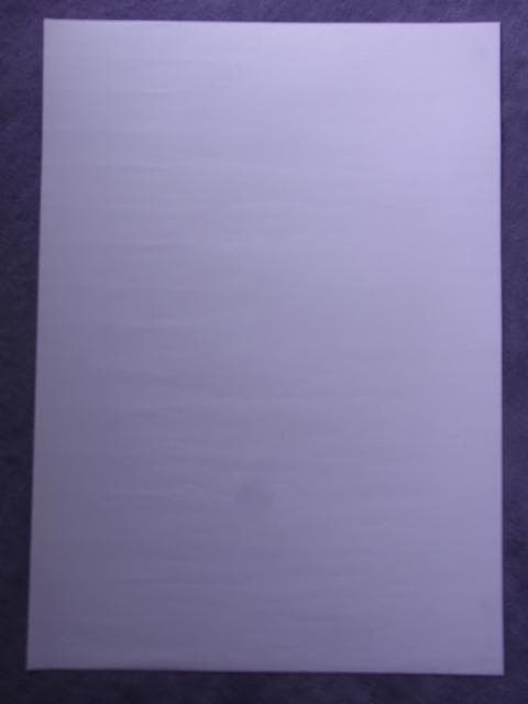 未使用品　非売品　ポスター　ロードス島戦記 DIEDLIT　ディードリット