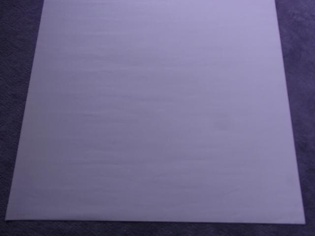 未使用品　非売品　ポスター　ロードス島戦記 DIEDLIT　ディードリット