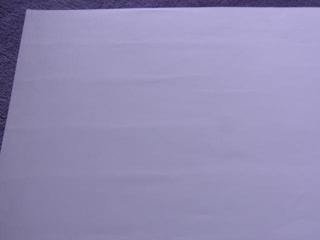 未使用品　非売品　ポスター　ロードス島戦記 DIEDLIT　ディードリット