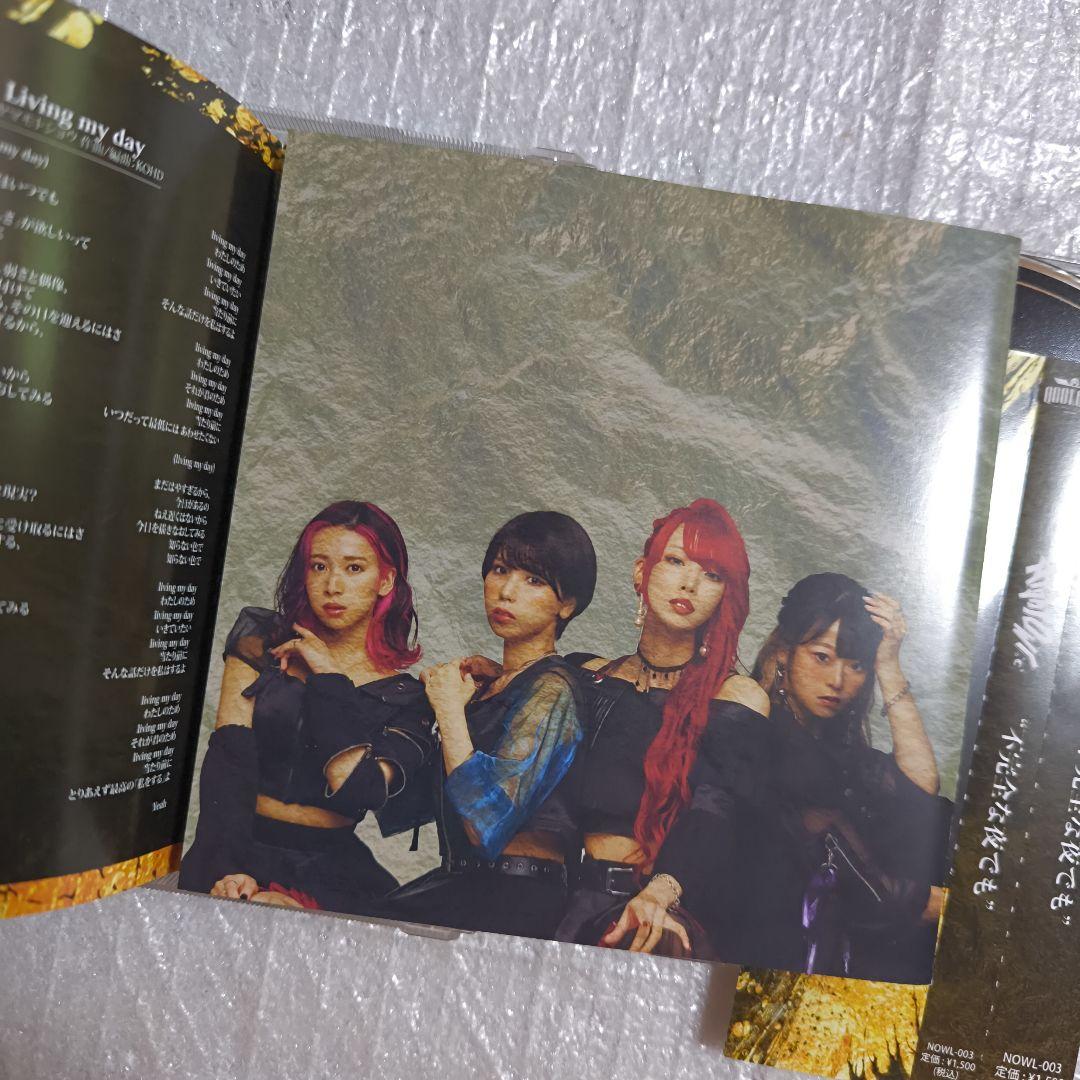 NightOwl 不完全な夜でも