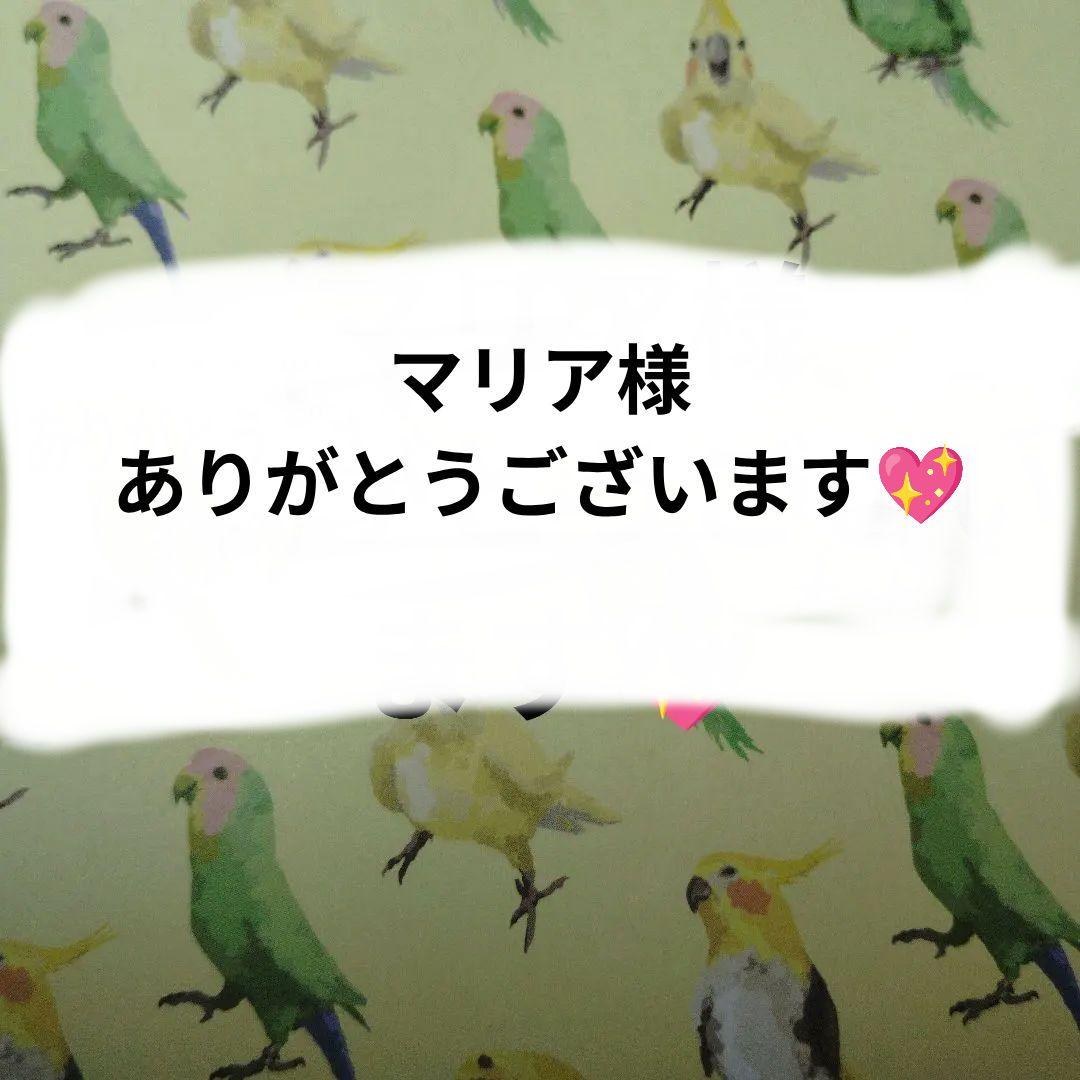 マリア様　お会計確認ページ
