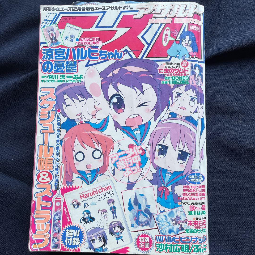 少年エースAアサルト2008年12月号【雑誌】