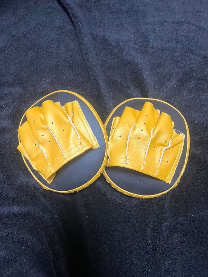 Fairtex パンチングミット 黒/黄