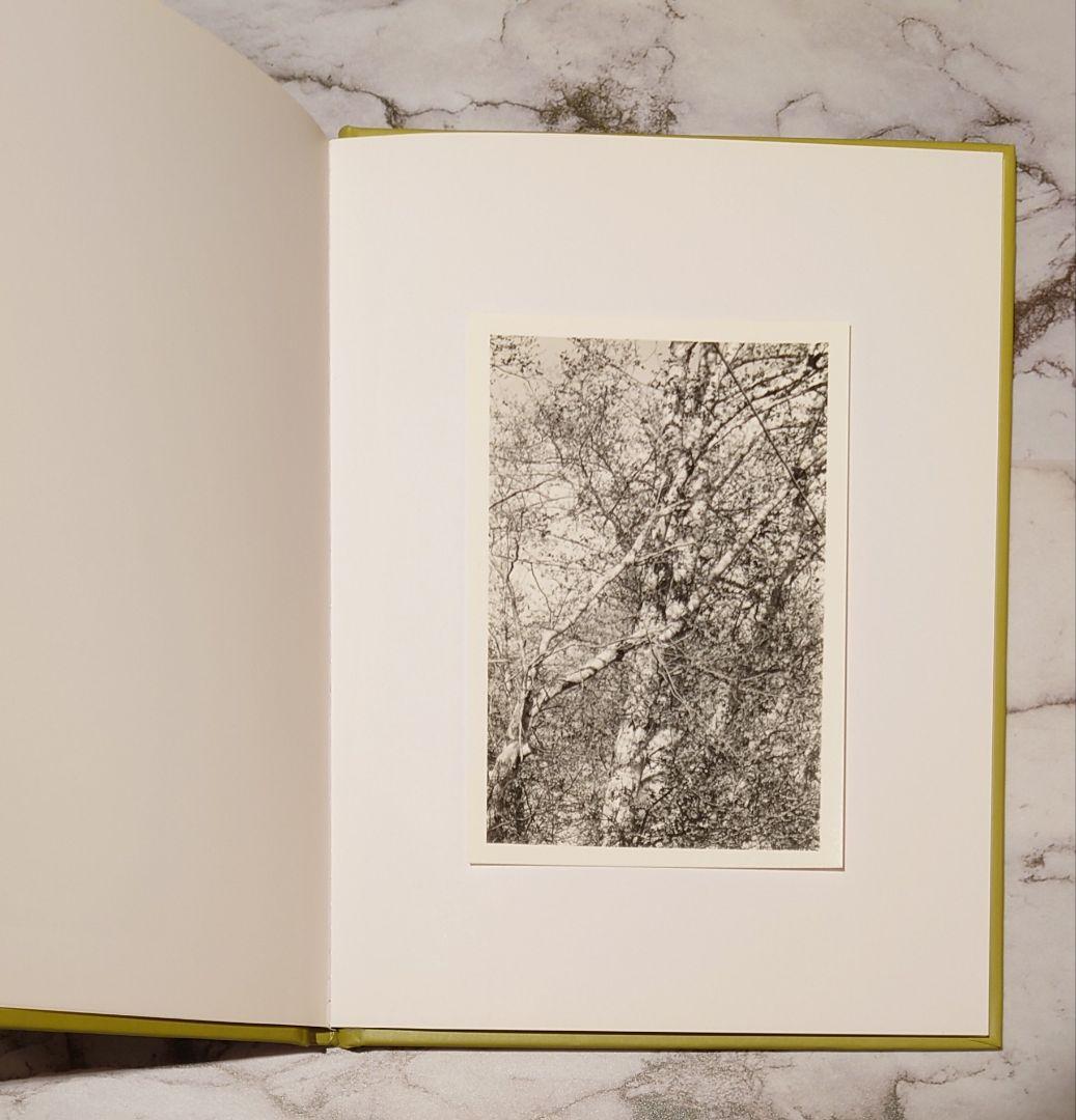 【サイン入り】Robert Adams（ロバート・アダムス）『ALDERS』