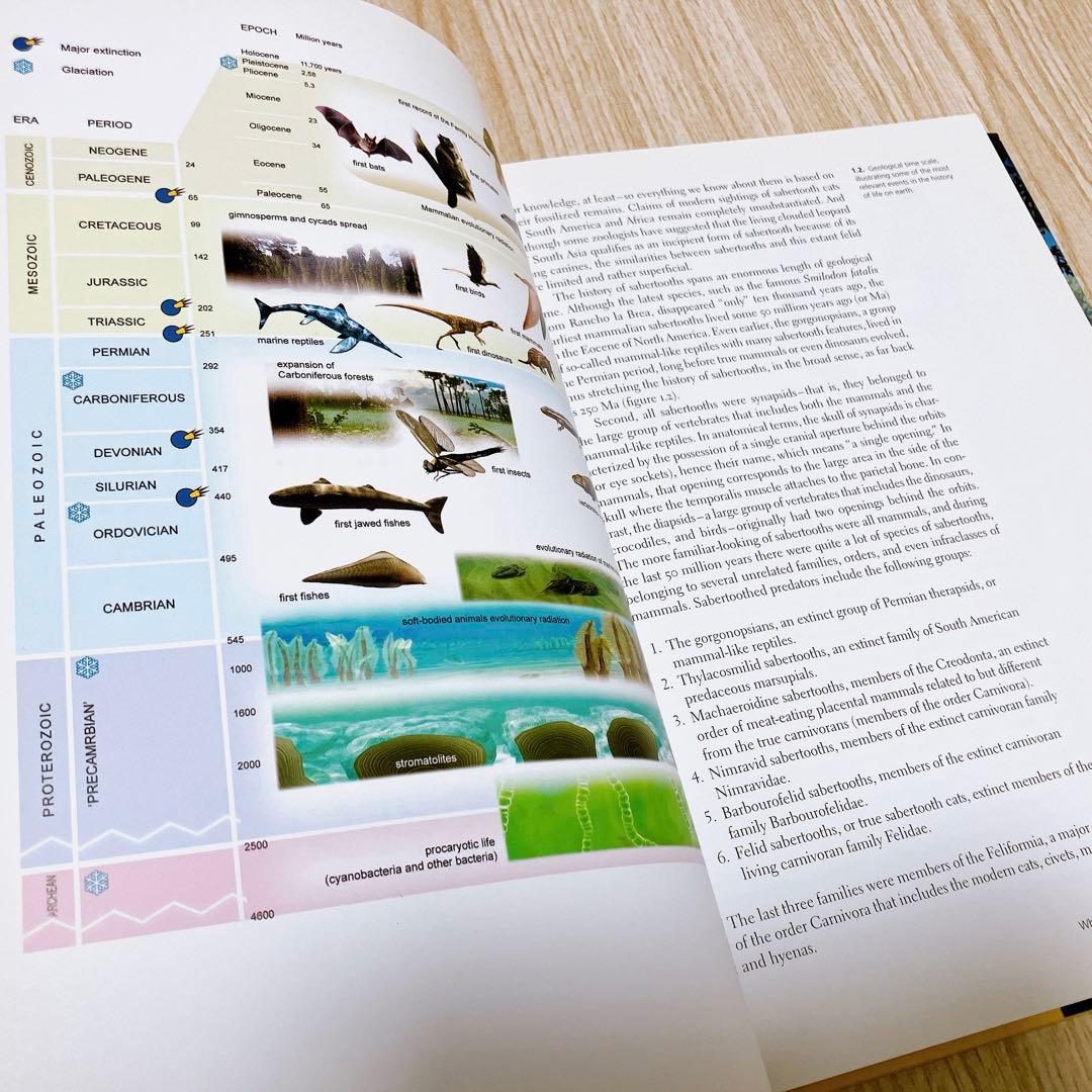 SABERTOOTH サーベルタイガー図解　MAURICIO ANTÓN