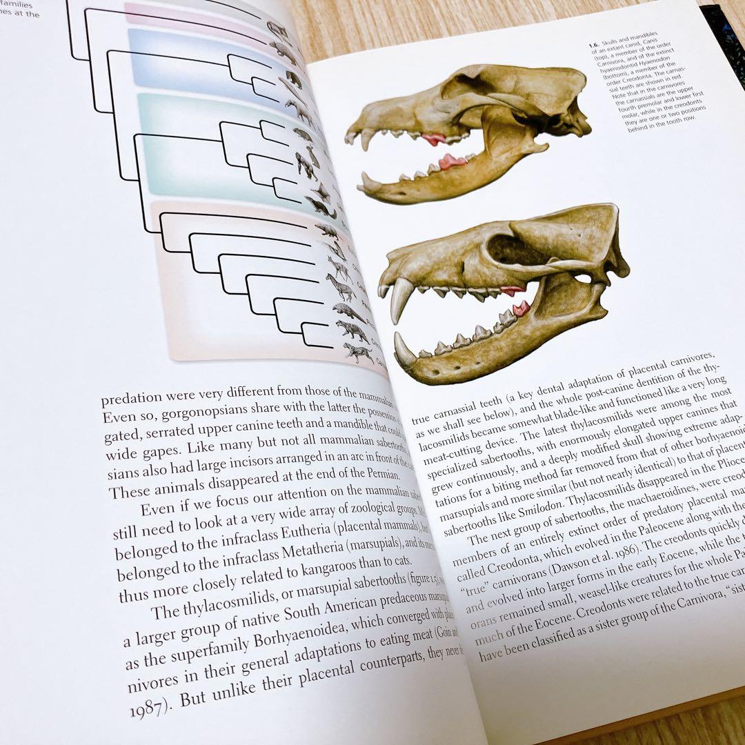SABERTOOTH サーベルタイガー図解　MAURICIO ANTÓN
