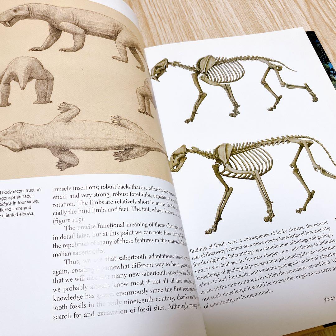 SABERTOOTH サーベルタイガー図解　MAURICIO ANTÓN