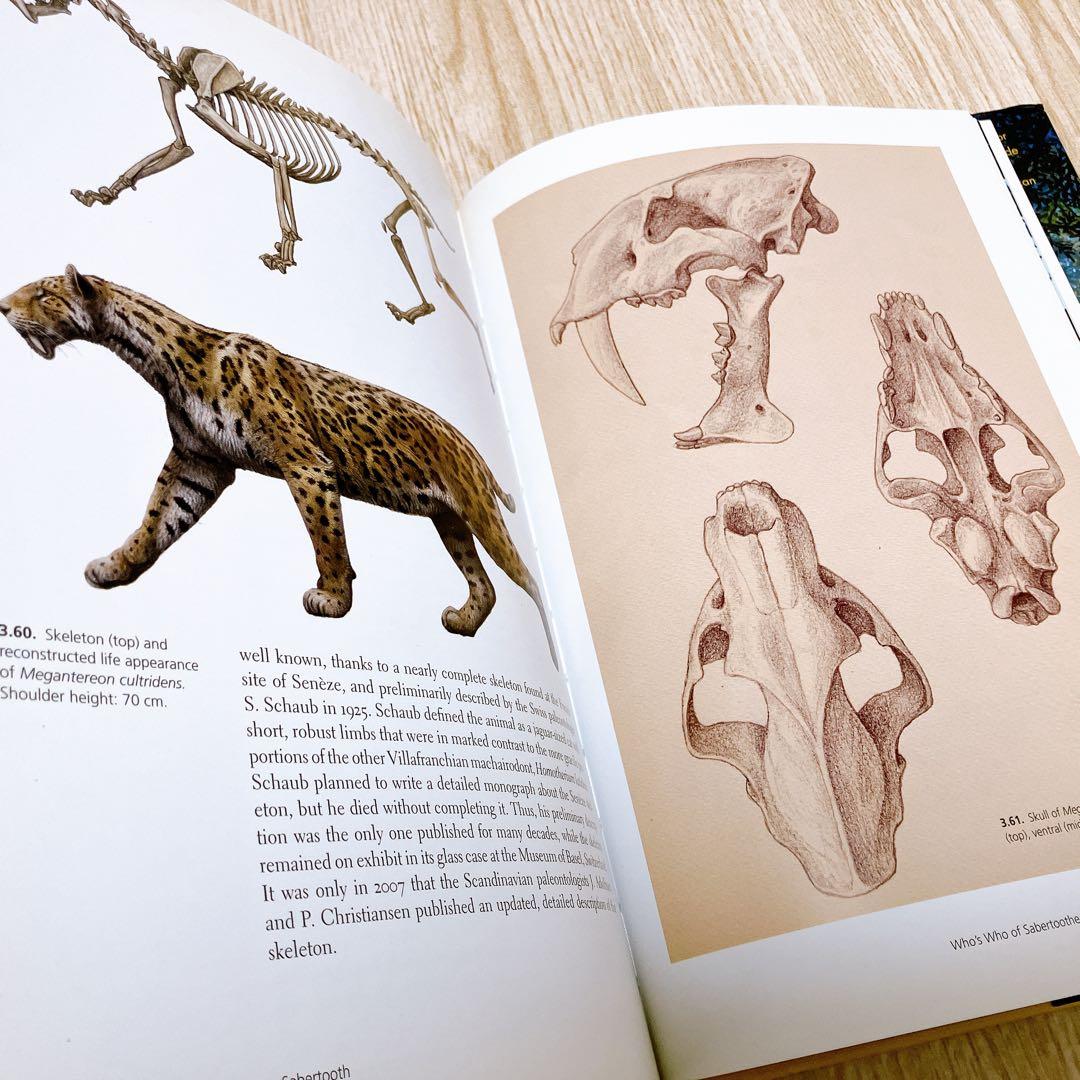 SABERTOOTH サーベルタイガー図解　MAURICIO ANTÓN