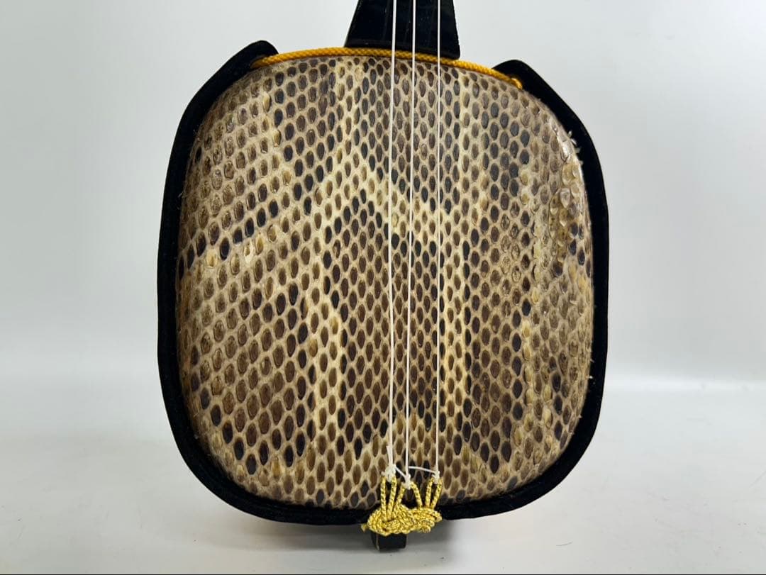 ① 沖縄三線 本蛇革 ケース付き 初心者 入門 蛇皮 本革