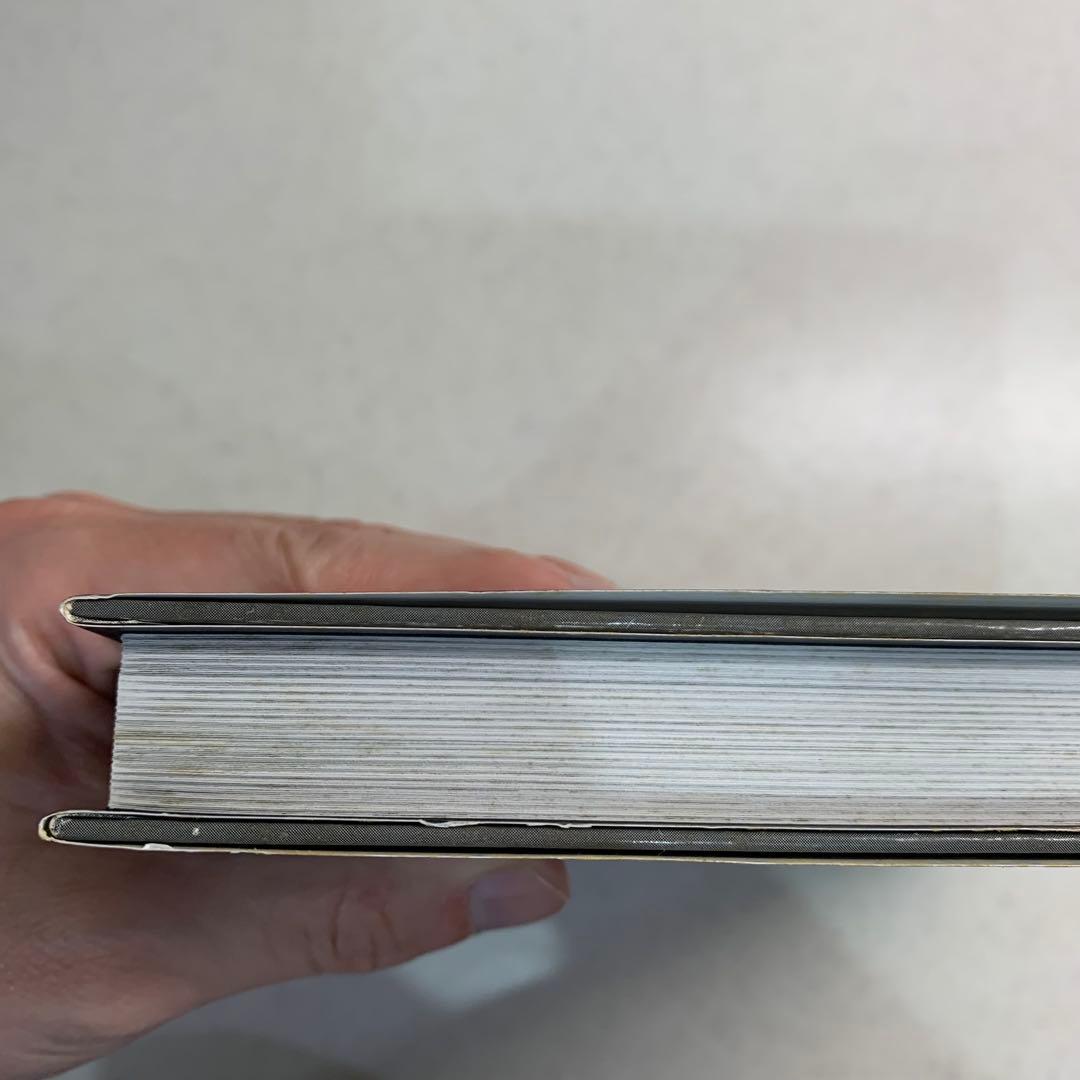 【絶版・希少本】アートオブアリスマッドネスリターンズ　日本語版