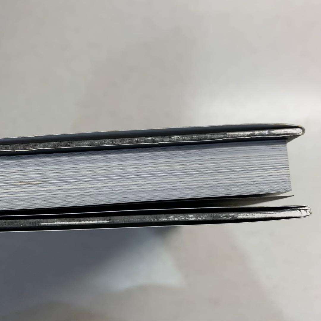 【絶版・希少本】アートオブアリスマッドネスリターンズ　日本語版