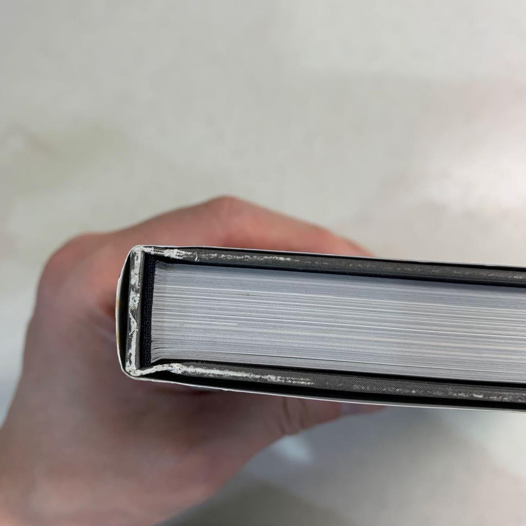 【絶版・希少本】アートオブアリスマッドネスリターンズ　日本語版