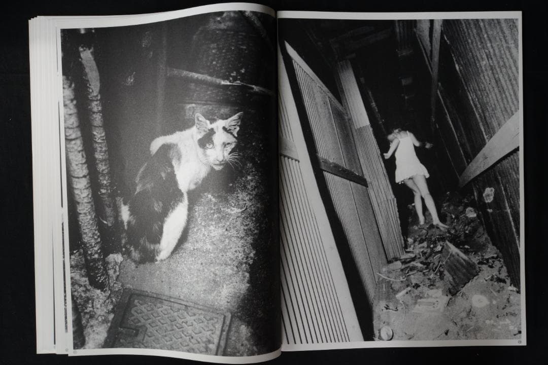 【Daido Moriyama Vintage Prints：森山大道】