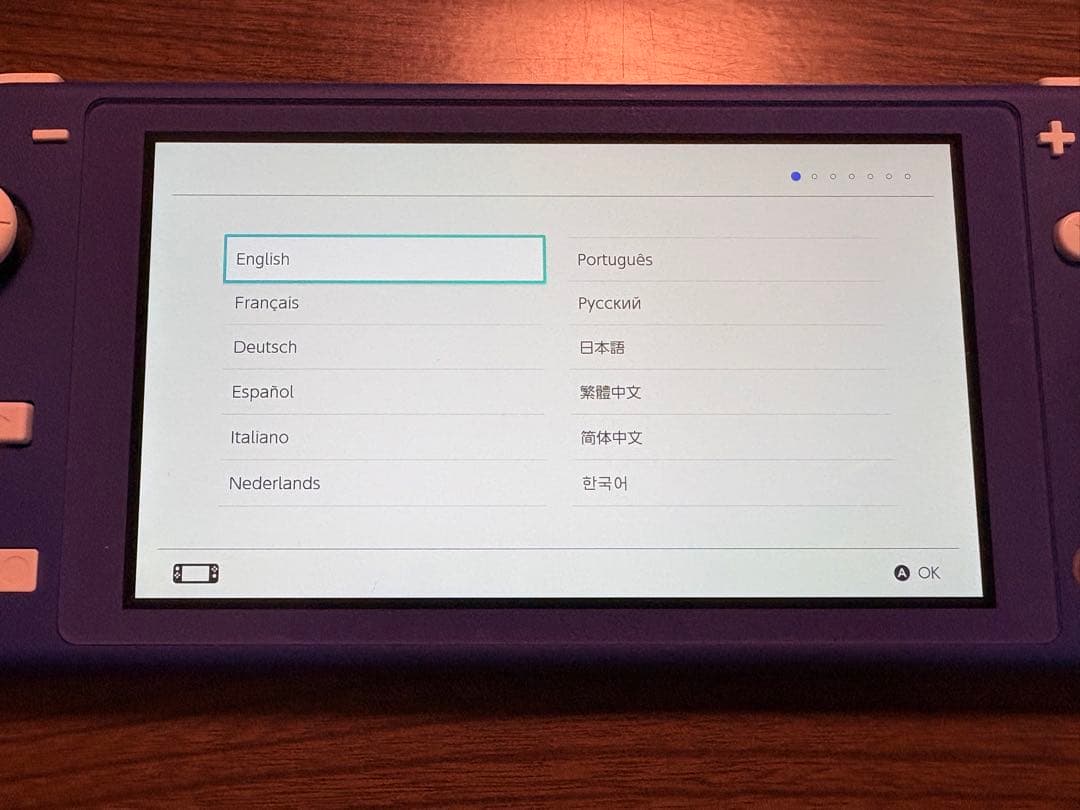Nintendo Switch Lite 青色 本体 フリップカバー付き