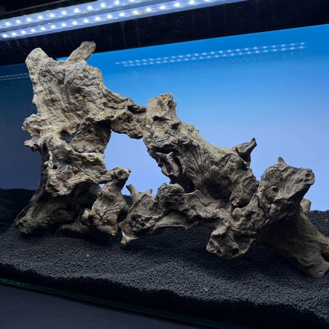 MJW-6882 ジンジャーウッド　レイアウトセット　天然流木　アクアリウム