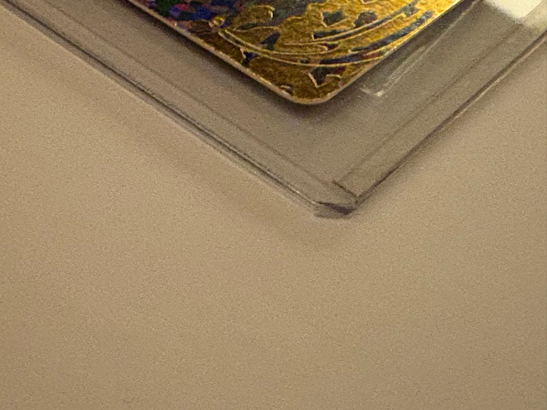 が*な様 SH1-SEC2 ベジット　パラレル