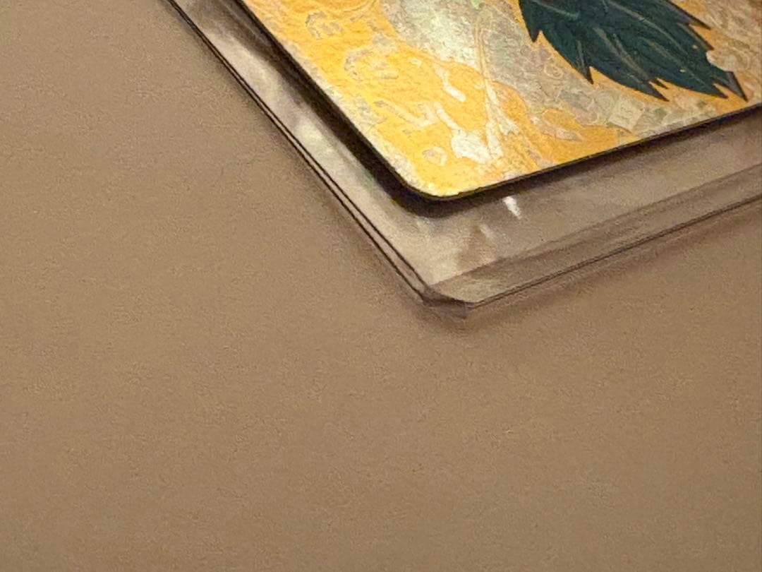 が*な様 SH1-SEC2 ベジット　パラレル