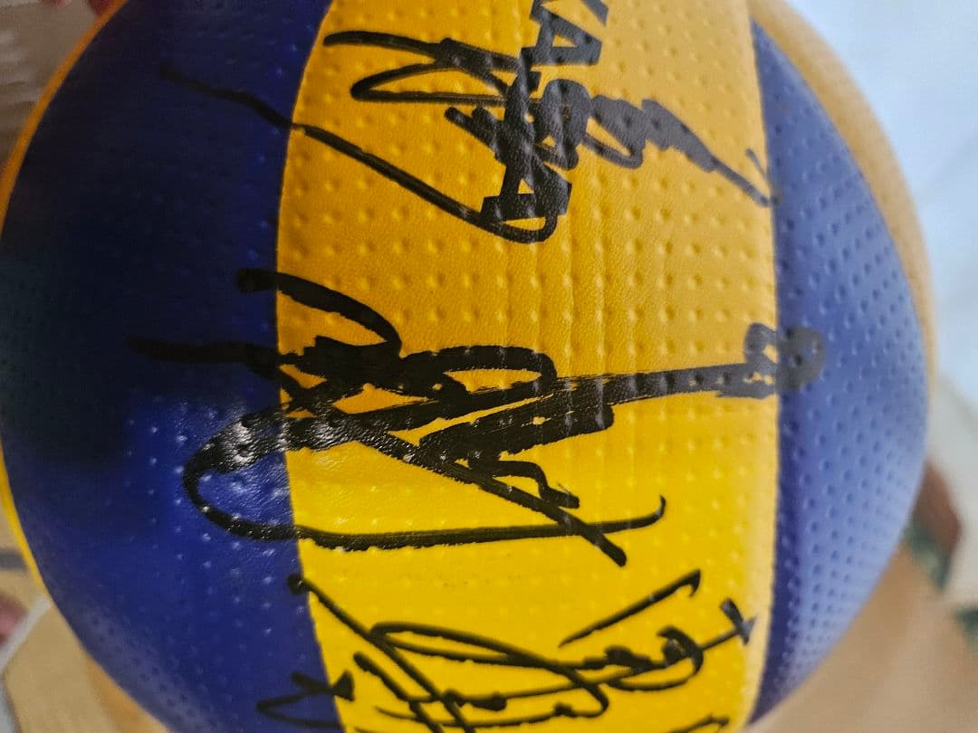 ミカサ FIVB公認 バレーボール 全日本選手サイン入り
