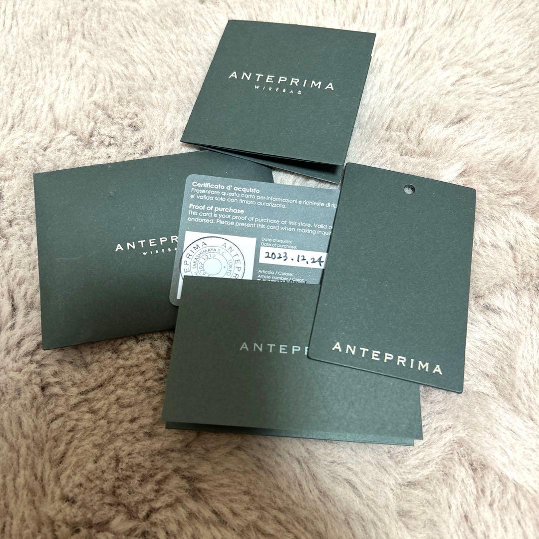 ANTEPRIMA スタンダード ミニアトゥーラ マルチカラー