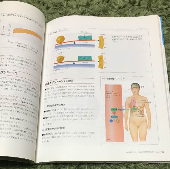 呼吸の仕組みとその管理