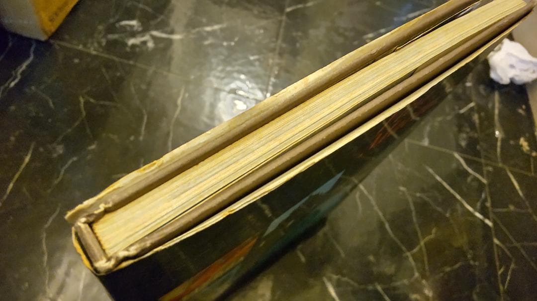 Viva Macau! 1980年 マカオ写真集 英語 ハードカバー 大型本