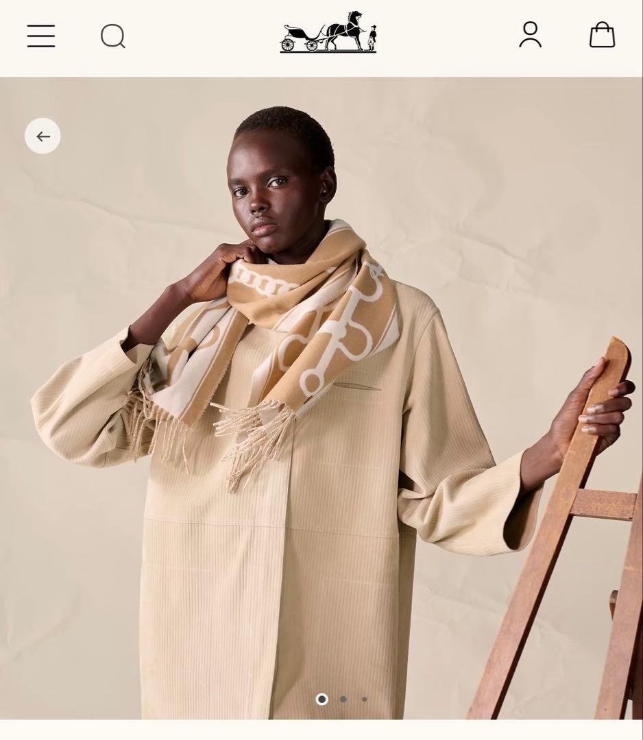 エルメス HERMES カシミヤ マフラー ベージュ モール