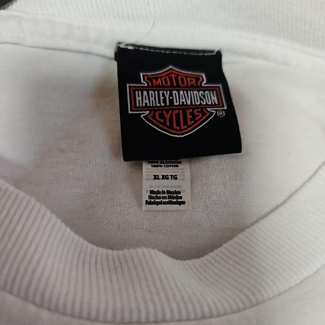 ハーレーダビットソン harley davidson ドクロフレイム 長袖ロンT