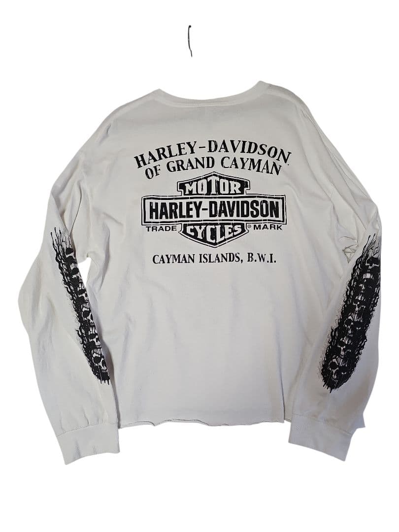 ハーレーダビットソン harley davidson ドクロフレイム 長袖ロンT