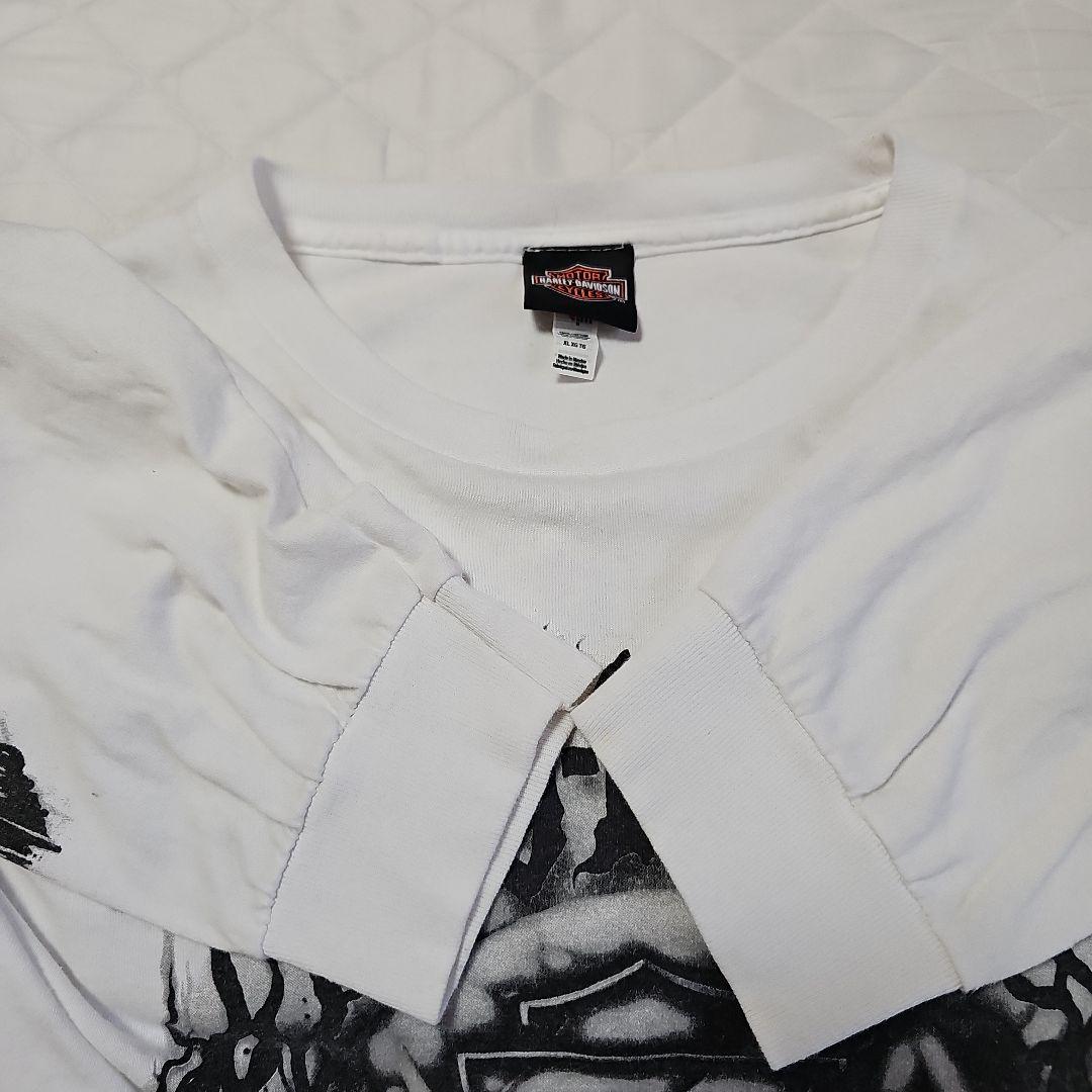 ハーレーダビットソン harley davidson ドクロフレイム 長袖ロンT