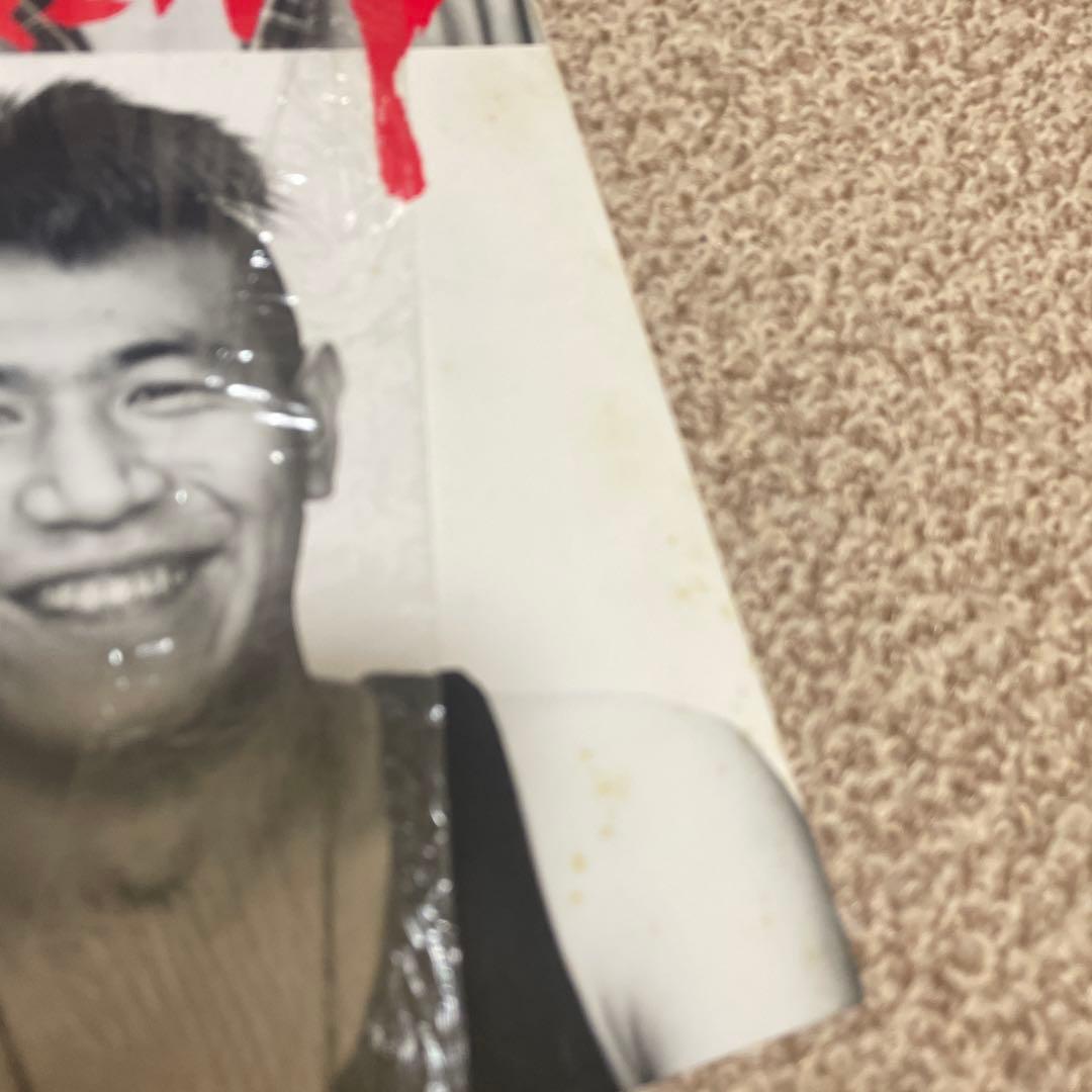 YOUNG AND PRETTY ★ LP ★ THE BLUE HEARTS