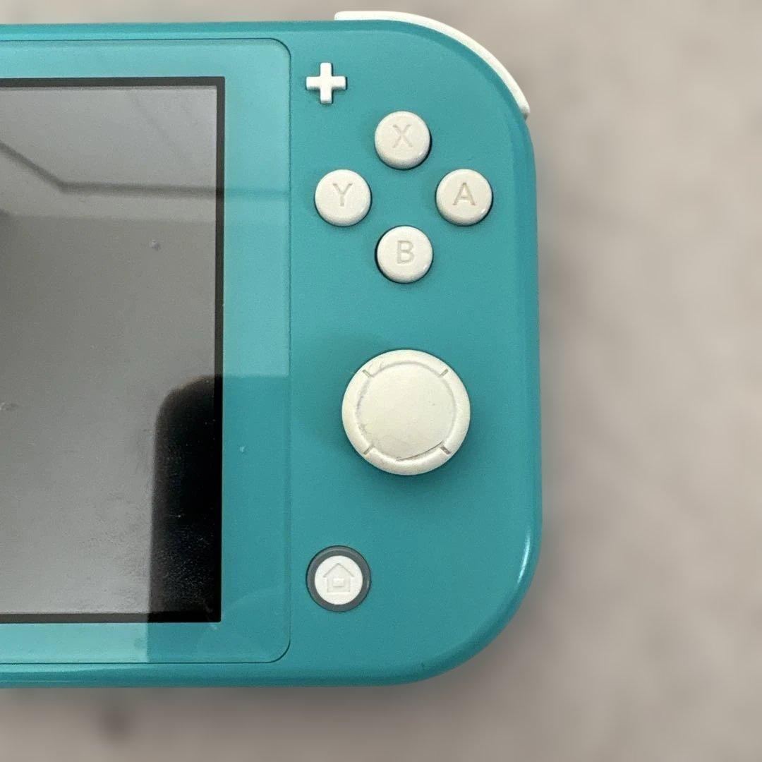 ラ*チ様 NintendoSwitch Lite 本体+カセット付