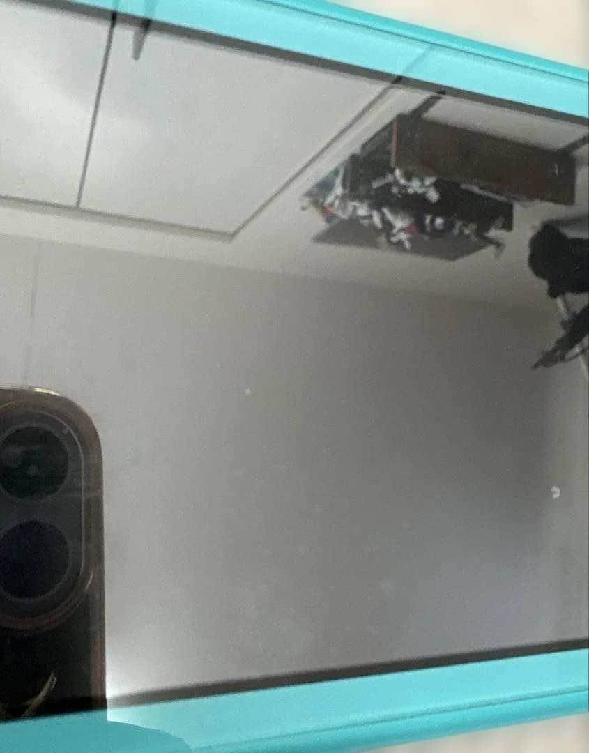 ラ*チ様 NintendoSwitch Lite 本体+カセット付