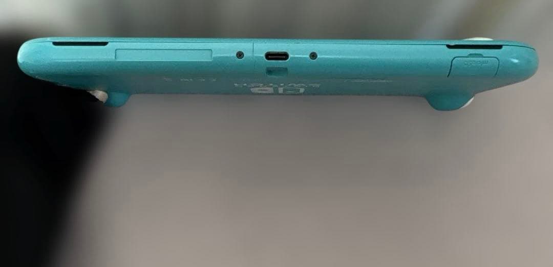 ラ*チ様 NintendoSwitch Lite 本体+カセット付