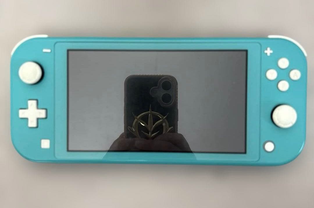 ラ*チ様 NintendoSwitch Lite 本体+カセット付