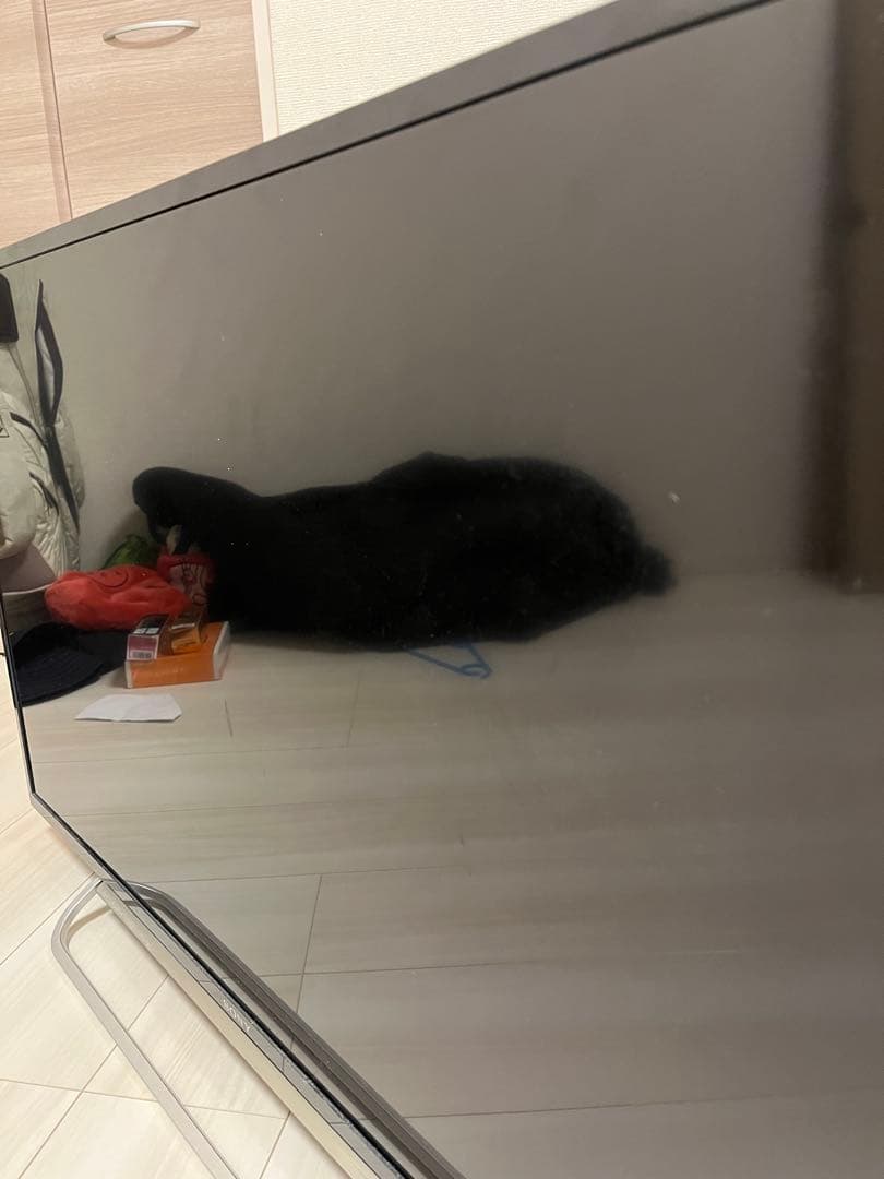 【カムイ】ソニー液晶テレビ　KDL-40W600B 40型