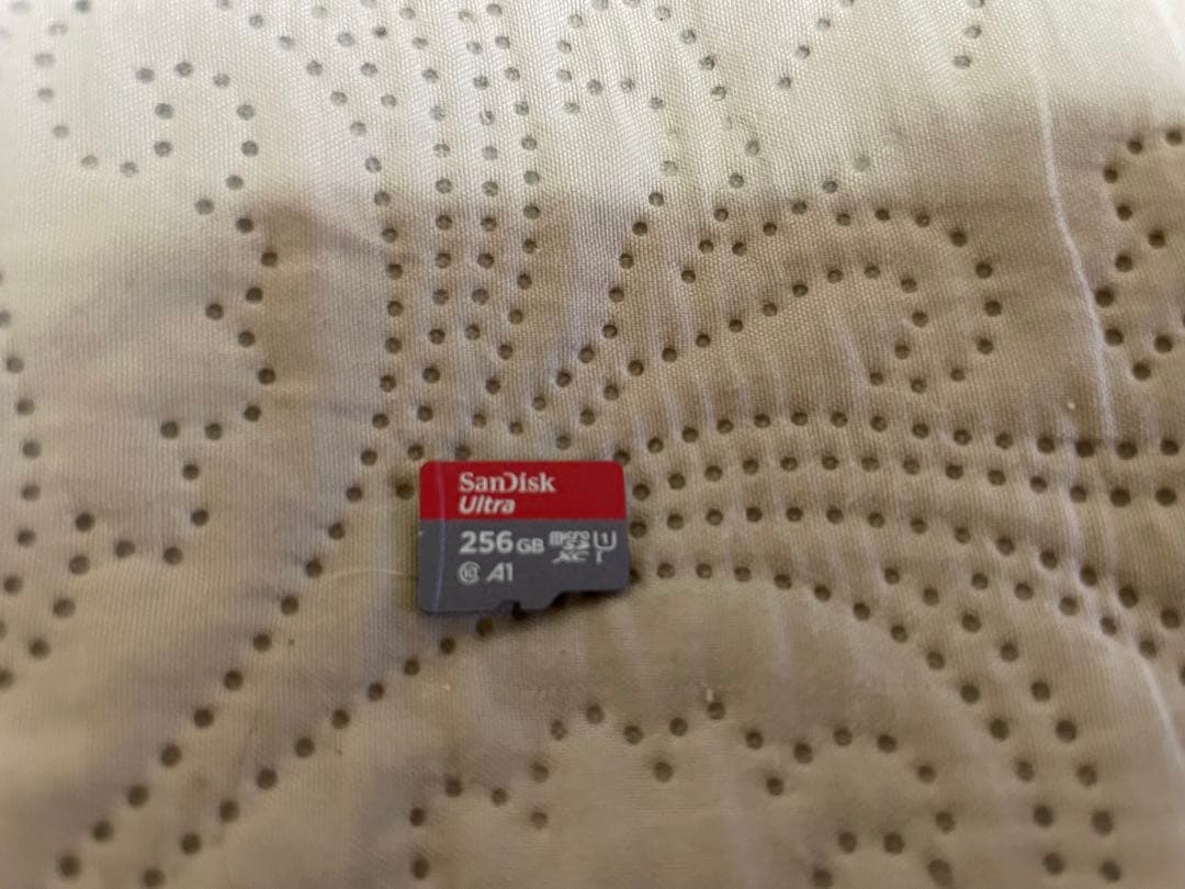 【microSDカード付】Nintendo Switch Lite グレー 本体